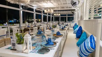 LARA BARUT COLLECTION