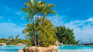 LAS AGUILAS TENERIFE AFFILIATED BY MELIA