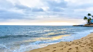 Las Palmas by the Sea