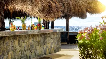 Las Palmas by the Sea