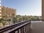 Las Palmeras Affiliated by FERGUS