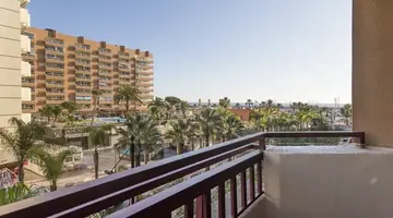Las Palmeras Affiliated by FERGUS