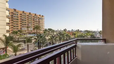 Las Palmeras Affiliated by FERGUS
