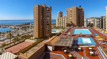 Las Palmeras Affiliated by Fergus