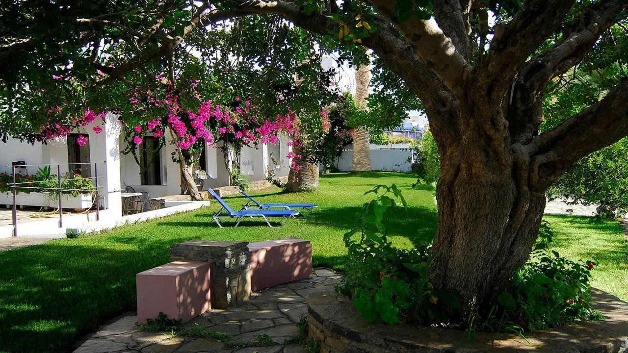 Lato Hotel