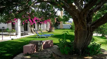 Lato Hotel