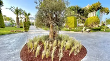 LAUR HOTEL EXPERIENCE & LAUR HOTELS ELEGANCE