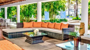 LD Palm Beach