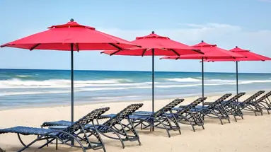 LD Plus Palm Beach