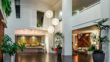 LD Plus Palm Beach