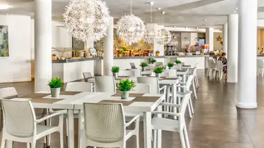 LD Plus Palm Beach