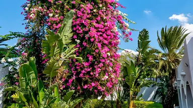 Le Hammamet Hotel & Spa