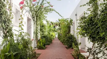 Le Hammamet