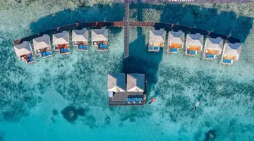 Le Mersenne Zanzibar, Autograph Collection