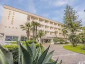 Le Palme