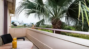 Le Palme