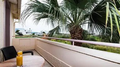 Le Palme