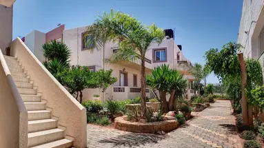 Le Palme