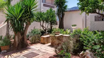 Le Palme
