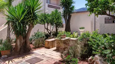 Le Palme