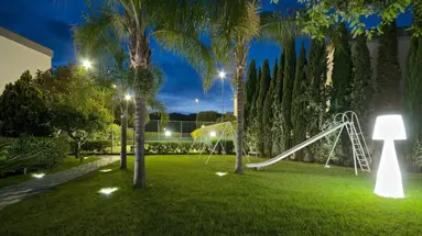 Le Palme