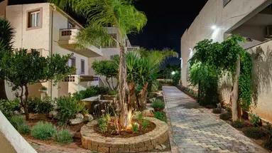 Le Palme