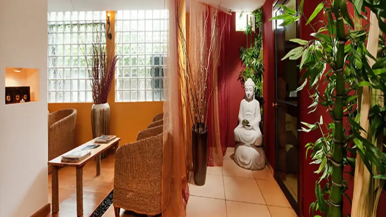 LE PALMISTE RESORT & SPA