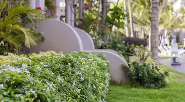LE VIVA RESORT MUI NE