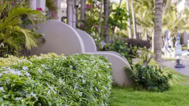 LE VIVA RESORT MUI NE