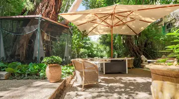 Le Windsor Jungle Art Hotel