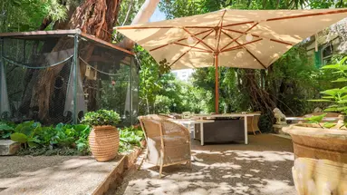 Le Windsor Jungle Art Hotel