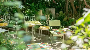 Le Windsor Jungle Art Hotel