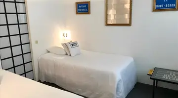 Le Windsor Jungle Art Hotel