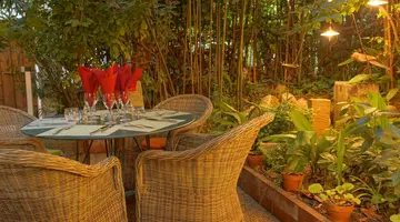 Le Windsor Jungle Art Hotel
