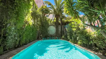 Le Windsor Jungle Art Hotel