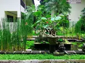 Legian Paradiso Hotel