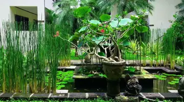 Legian Paradiso Hotel