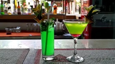 Legian Village Hotel