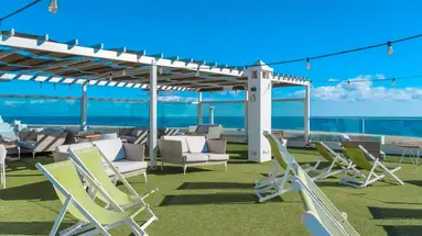 LEMON & SOUL Cactus Garden