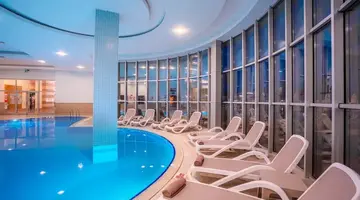 Leodikya Kirman Premium