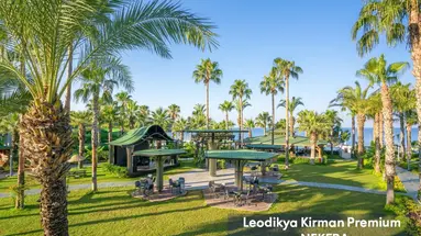 Leodikya Kirman Premium