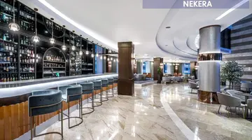 Leodikya Kirman Premium