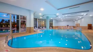 Leodikya Kirman Premium
