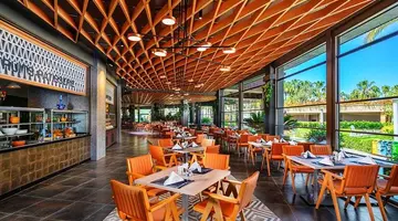 Leodikya Kirman Premium