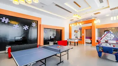 Leodikya Kirman Premium