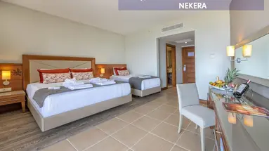 LEODIKYA KIRMAN PREMIUM