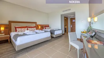 Leodikya Kirman Premium