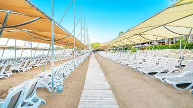 Leodikya Kirman Premium