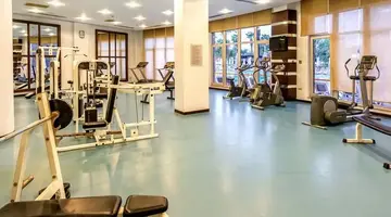 Leodikya Kirman Premium
