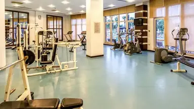 Leodikya Kirman Premium